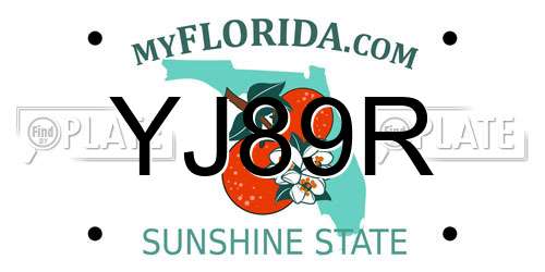 YJ89R Florida License Plate