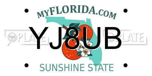 YJ8UB Florida License Plate