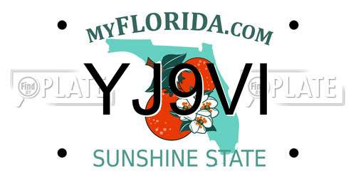 YJ9VI Florida License Plate