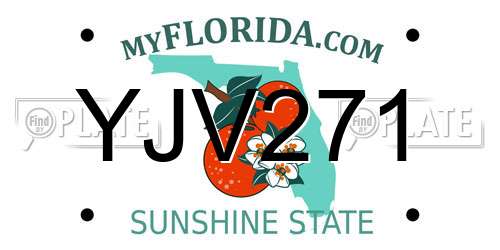 YJV271 Florida License Plate