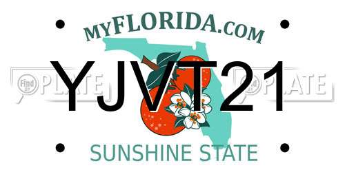 YJVT21 Florida License Plate