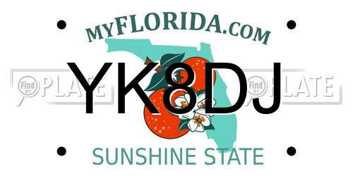 YK8DJ Florida License Plate
