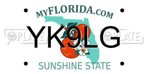 YK9LG Florida License Plate