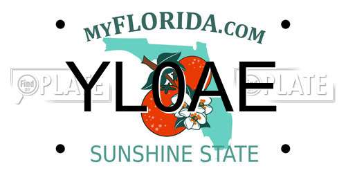 YL0AE Florida License Plate