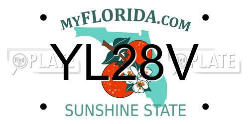 YL28V Florida License Plate