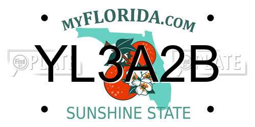 YL3A2B Florida License Plate