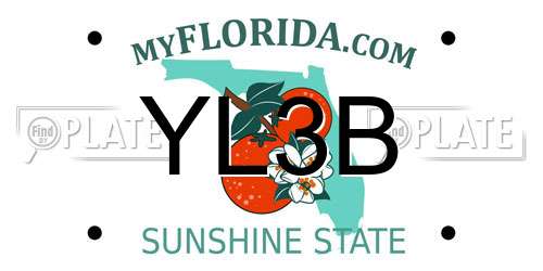 YL3B Florida License Plate