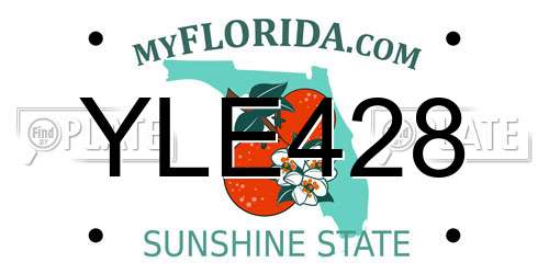 YLE428 Florida License Plate