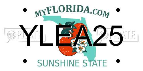 YLEA25 Florida License Plate