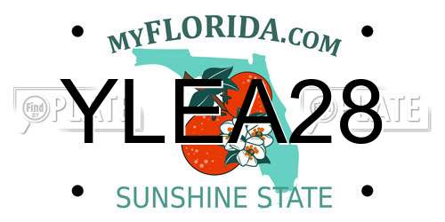 YLEA28 Florida License Plate