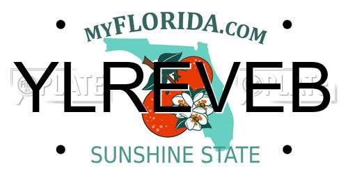 YLREVEB Florida License Plate
