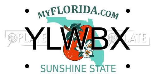 YLWBX Florida License Plate