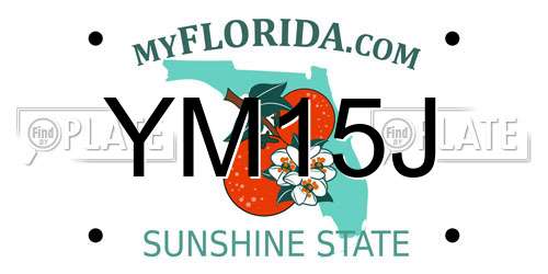 YM15J Florida License Plate