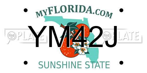 YM42J Florida License Plate