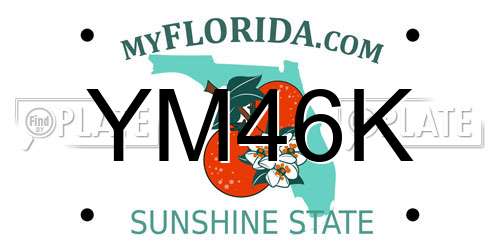 YM46K Florida License Plate