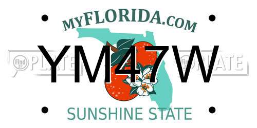 YM47W Florida License Plate