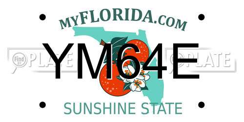 YM64E Florida License Plate