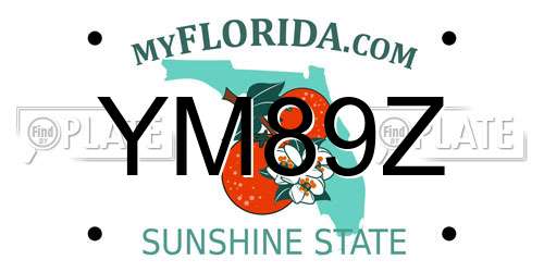 YM89Z Florida License Plate
