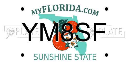 YM8SF Florida License Plate