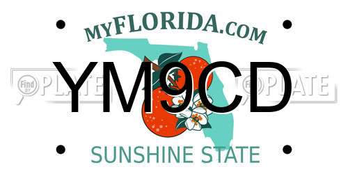 YM9CD Florida License Plate