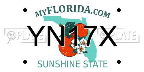 YN17X Florida License Plate