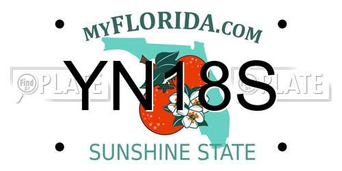 YN18S Florida License Plate