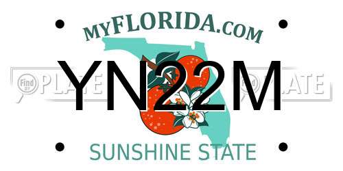 YN22M Florida License Plate