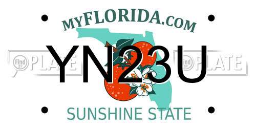 YN23U Florida License Plate