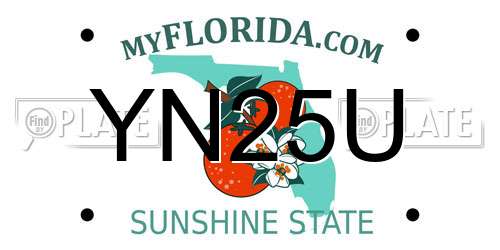 YN25U Florida License Plate