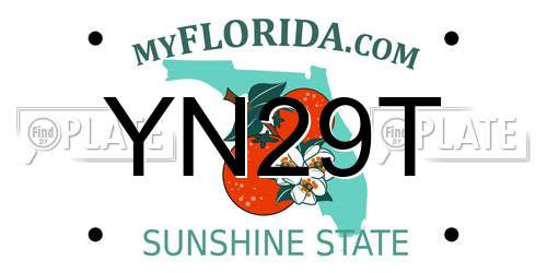 YN29T Florida License Plate