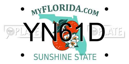 YN61D Florida License Plate