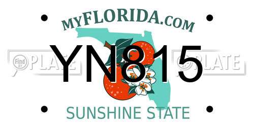 YN815 Florida License Plate