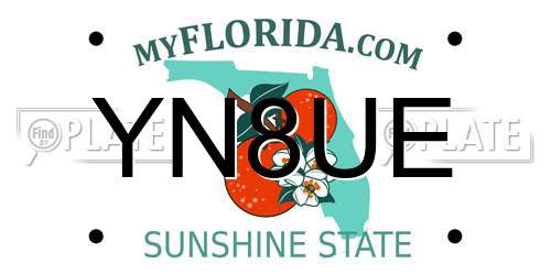 YN8UE Florida License Plate