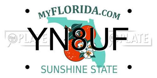 YN8UF Florida License Plate