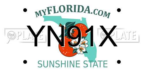 YN91X Florida License Plate