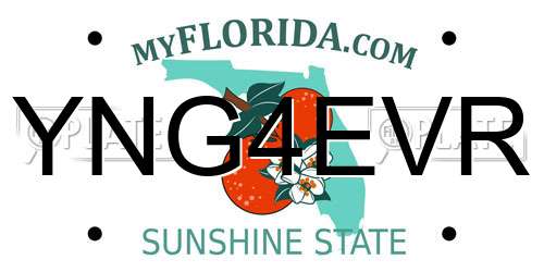 YNG4EVR Florida License Plate