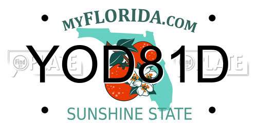 YOD81D Florida License Plate