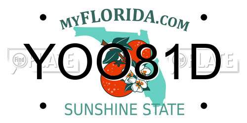 YOO81D Florida License Plate