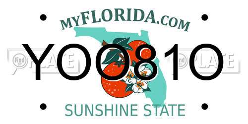 YOO81O Florida License Plate