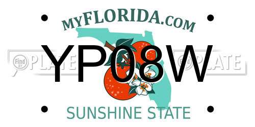 YP08W Florida License Plate