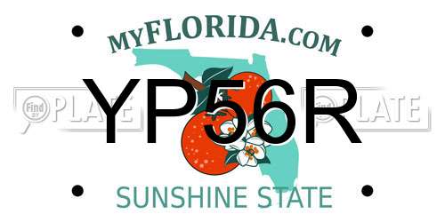 YP56R Florida License Plate