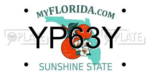 YP63Y Florida License Plate