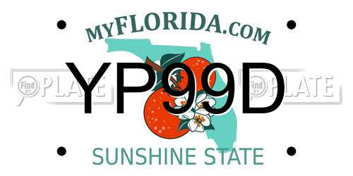 YP99D Florida License Plate