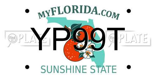 YP99T Florida License Plate