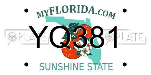 YQ381 Florida License Plate
