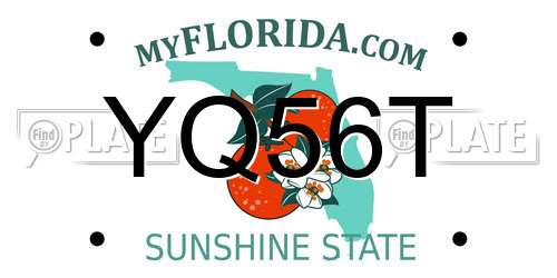 YQ56T Florida License Plate