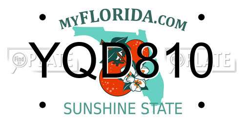 YQD810 Florida License Plate