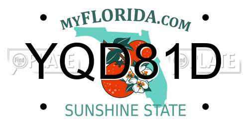 YQD81D Florida License Plate