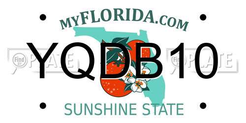 YQDB10 Florida License Plate