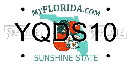 YQDS10 Florida License Plate